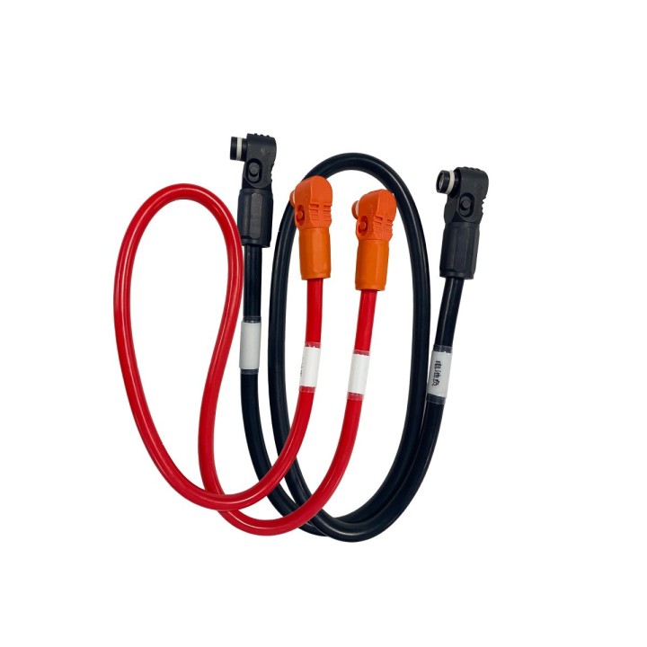 E-Serie Verbindungskabel-Set für E60/E100/E163, 0.15m (Plus und Minus) (EB-CP09-00)